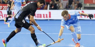 Bijen in actie tegen Argentinië. 