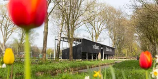 Athena is een van de locaties waar het World Hockey Youth Festival wordt gespeeld. Foto: Willem Vernes